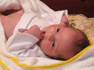 16776-IMG_0145.jpg, 22 KB
