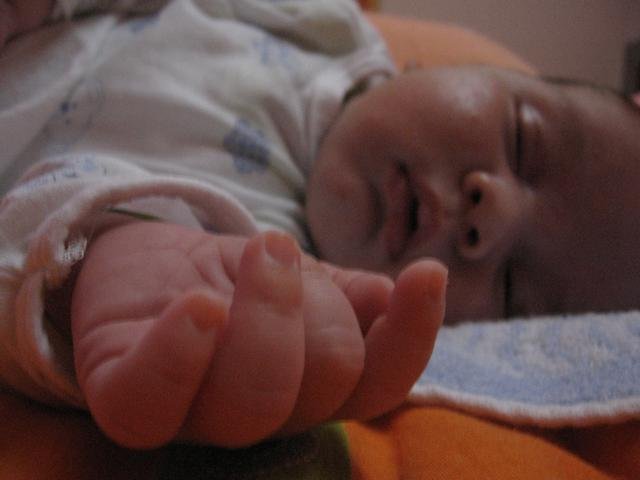 17268-aleksa13.jpg, 33 KB