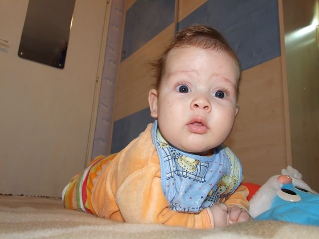 21203-2.jpg, 46 KB