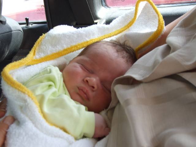 DSCF0272.jpg, 41 KB