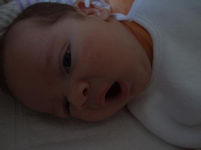 DSCF1012.jpg, 27 KB