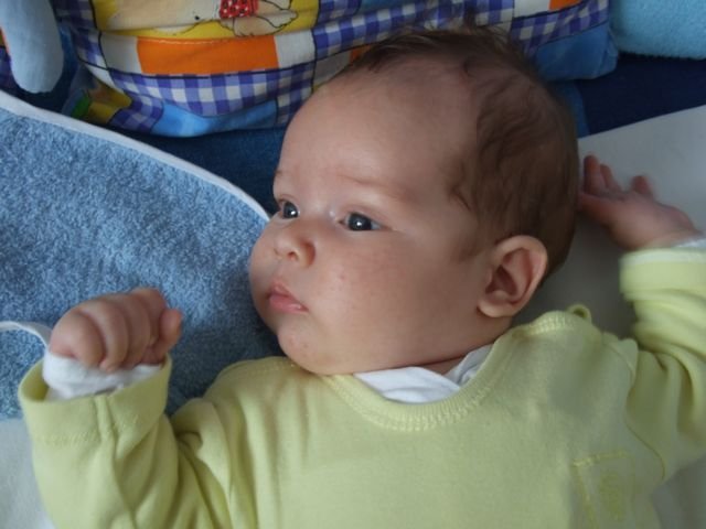 DSCF1177.jpg, 49 KB