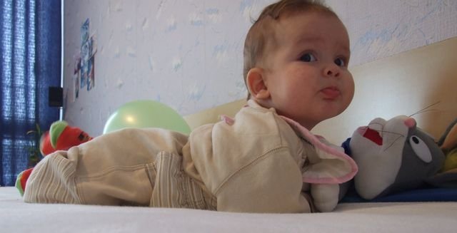 DSCF2783.JPG, 38 KB