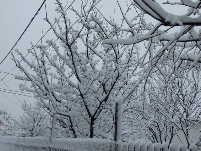 DSCF3566.JPG, 99 KB