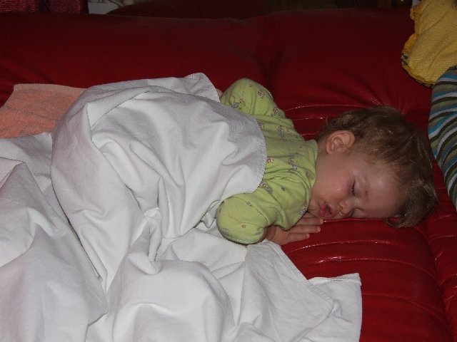 DSCF6473.JPG, 214 KB
