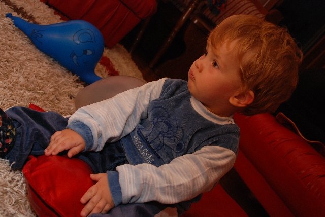 DSC_2184.JPG, 277 KB