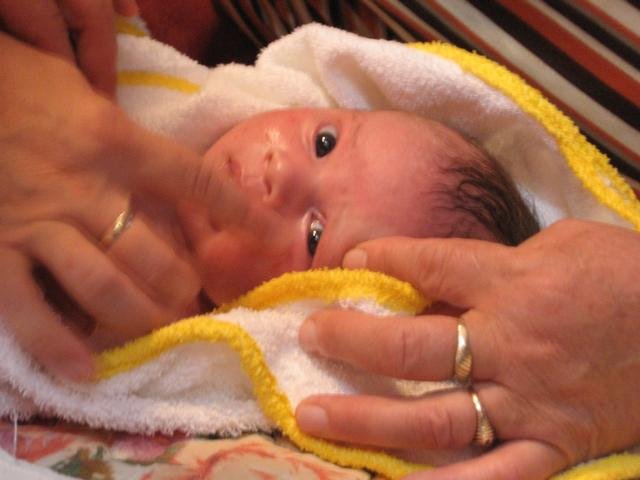 IMG_0142.jpg,  bytes