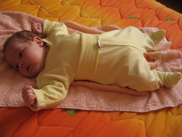 IMG_0881.jpg, 49 KB