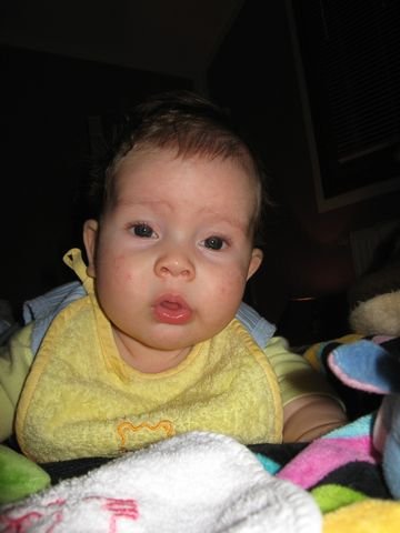 IMG_1694.jpg, 32 KB