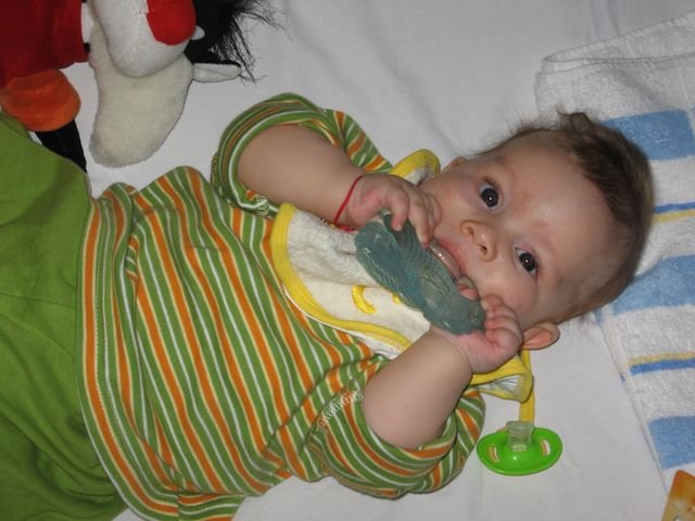 IMG_1854.JPG, 60 KB