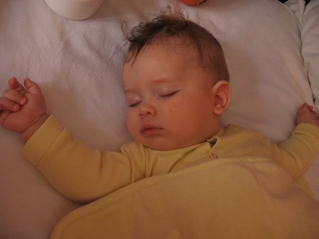 IMG_2608.jpg, 32 KB