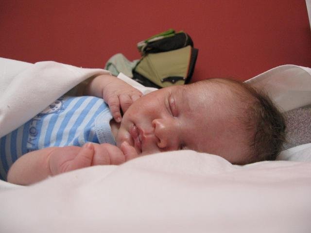 IMG_9909.jpg, 27 KB