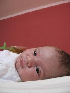IMG_9948.jpg, 10 KB