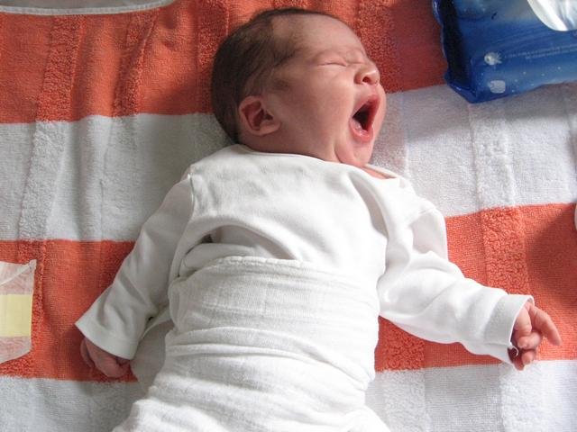 aleksa13.jpg, 54 KB