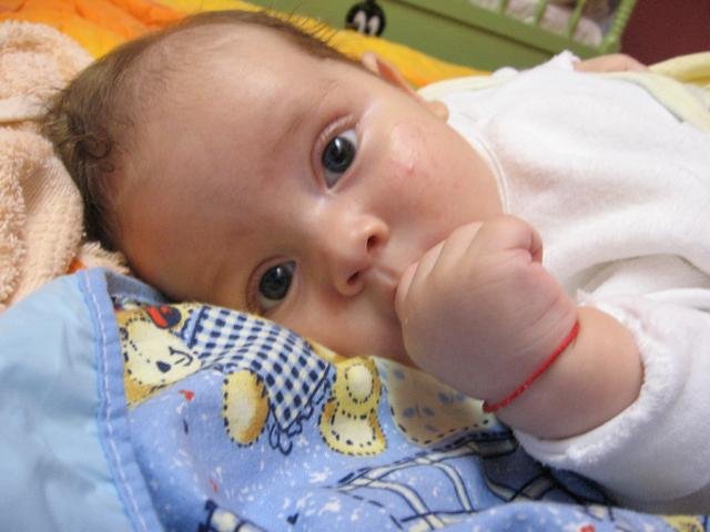 aleksa22.jpg, 47 KB