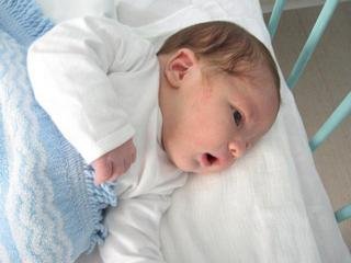 aleksa6.jpg,  bytes